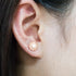 Sparkling Daisy Flower  Stud Earrings – 3 Colours!